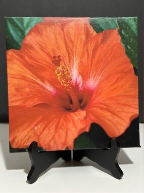8x8 Vibrant Hibiscus Canvas Wall Art - My Own Photo
